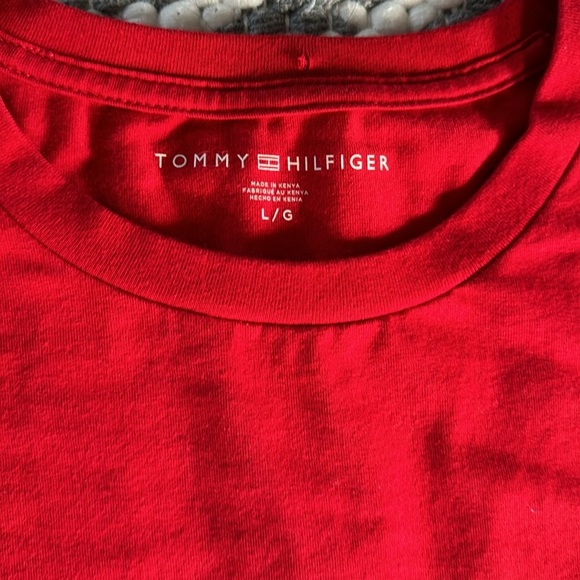 🍍TOMMY HILFIGER T SHIRT🍍sz large🍍B-1 - Picture 2 of 3